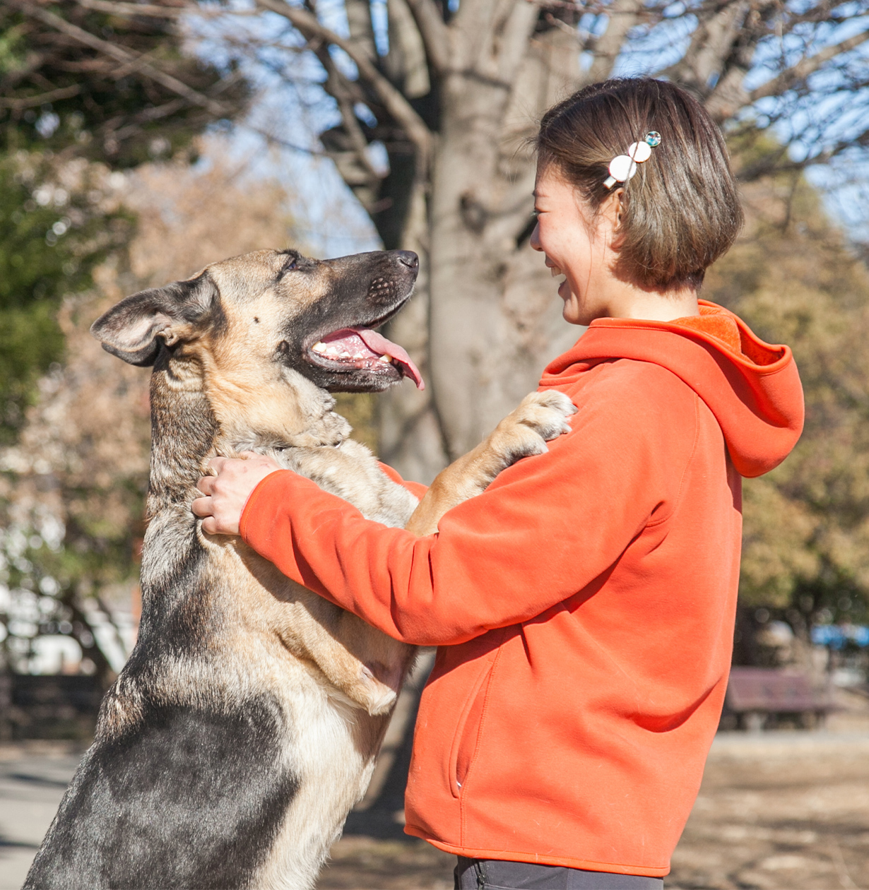愛犬との絆を深めるお手伝い
