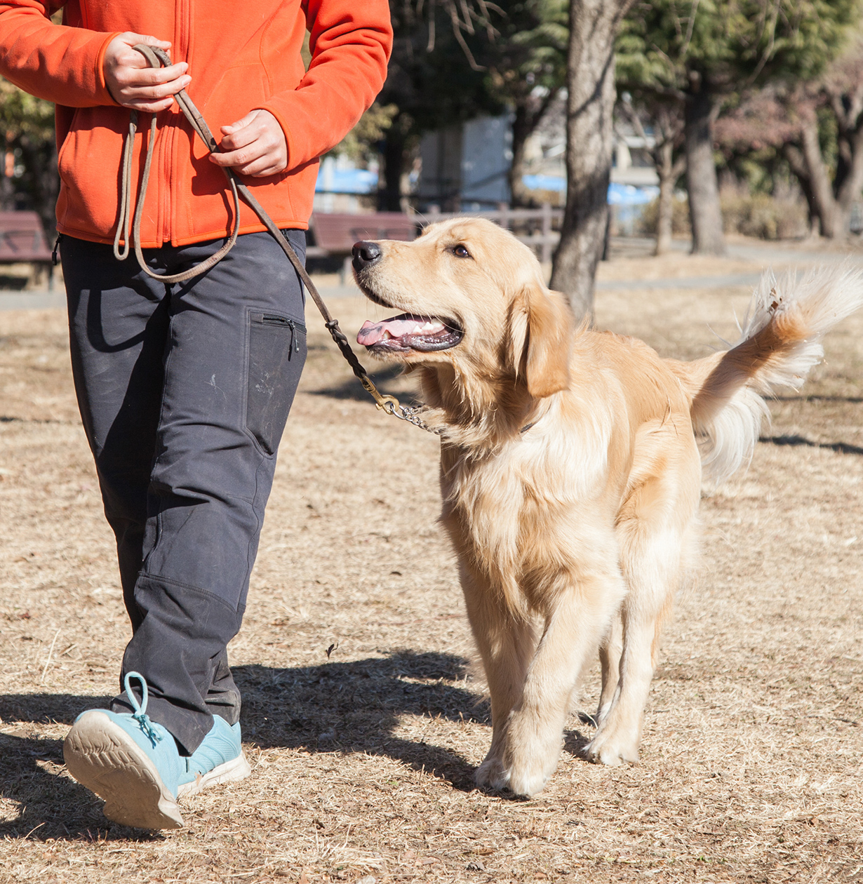 愛犬との絆を深めるお手伝い